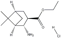 (1R,2R,3R,5R)-ETHYL-2-AMINO-6,6-DIMETHYLBICYCLO[3.1.1]HEPTAN-3-CARBOXYLATE HYDROCHLORIDE Structure