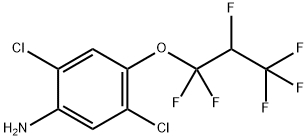 2,5-Dichloro-4-(1,1,2,3,3,3-hexafluoropropoxy)benzenamine Struktur