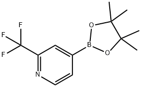 2-三氟甲基吡啶-4-硼酸频哪醇酯, 1036990-42-7, 结构式
