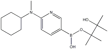 6-[CYCLOHEXYL(METHYL)AMINO]PYRIDINE-3-BORONIC ACID PINACOL ESTER 化学構造式