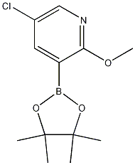 5-クロロ-2-メトキシ-3-(4,4,5,5-テトラメチル-1,3,2-ジオキサボロラン-2-イル)ピリジン 化学構造式