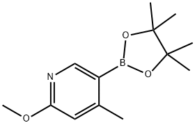 2-甲氧基-4-甲基-5-(4,4,5,5-四甲基-1,3,2-二氧杂环戊硼烷-2-基)吡啶 结构式