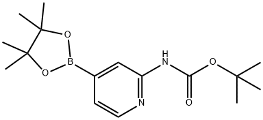 tert-Butyl[4-(4,4,5,5-tetramethyl-1,3,2-dioxaborolan-2-yl)pyridin
-2-yl]carbamate
 Struktur