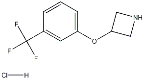 1188374-88-0 结构式