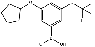 3-(Cyclopentyloxy)-5-(trifluoromethoxy)phenylboronic acid Structure