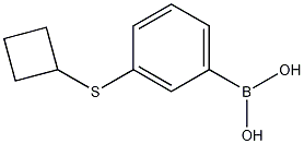 3-(Cyclobutylsulfanyl)phenylboronic acid Structure