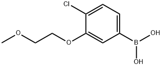 4-クロロ-3-(2-メトキシエトキシ)フェニルボロン酸 化学構造式