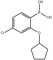 4-氯-2-(环戊氧基)苯硼酸, 1256355-05-1, 结构式