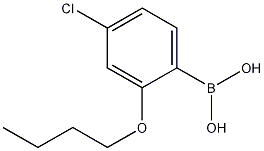 2-丁氧基-4-氯苯硼酸, 1256355-07-3, 结构式