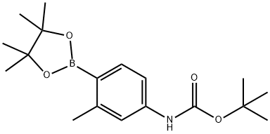 叔丁基(3-甲基-4-(4,4,5,5-四甲基-1,3,2-二氧杂硼杂环戊烷-2-基)苯基)氨基甲酸酯, 1256360-04-9, 结构式