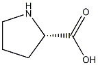 L-Proline 结构式