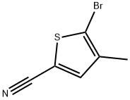304854-52-2 5-溴-4-甲基噻吩-2-甲腈