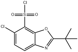 2-TERT-BUTYL-6-CHLOROBENZOXAZOLE-7-SULFONYL CHLORIDE, 361392-60-1, 结构式