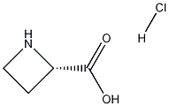(S)-环丁胺-2-羧酸 结构式
