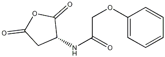 (R)-N-(2,5-dioxotetrahydrofuran-3-yl)-2-phenoxyacetamide Struktur