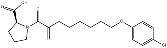 8-(4-Chlorophenoxy)-2-methylene-octanoic Acid L-Prolinamide Structure
