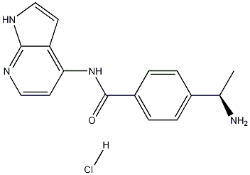 Y-39983 hydrochloride Structure