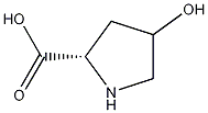 4-Hydroxyproline,51-35-4,结构式