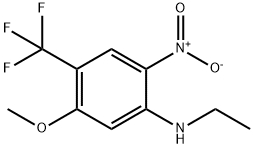 5-methoxy-N1-methyl-4-(trifluoromethyl)benzene-1,2-diamine Struktur