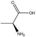 L-alpha-Alanine 化学構造式