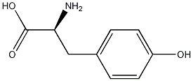 L-Tyrosine Struktur