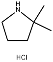 2,2-ジメチルピロリジン塩酸塩 化学構造式