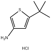 3-Amino-5-tert-butylthiophene hydrochloride Structure