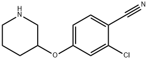 2-CHLORO-4-(3-PIPERIDINYLOXY)BENZONITRILE Structure