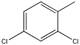 95-73-8 2,4-Dichlorotoluene