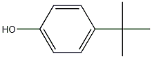 p-tert-Butylphenol Struktur
