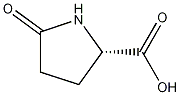 L-Pyroglutamic acid Structure