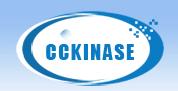 Cckinase, Inc.