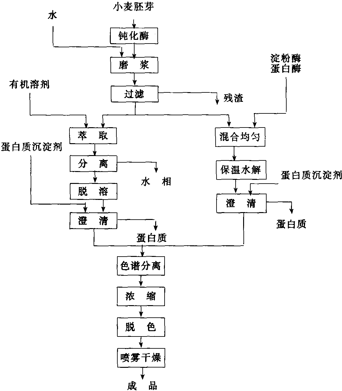 从小麦胚芽中提取谷胱甘肽的工艺流程