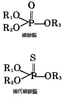 磷酸酯和硫代磷酸酯的分子结构通式