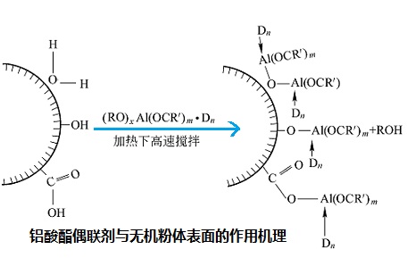 铝酸酯偶联剂与无机粉体表面的作用机理