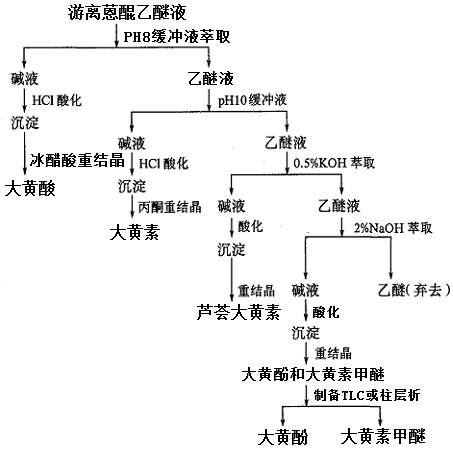 从游离蒽醌乙醚液中提取分离大黄素甲醚工艺流程