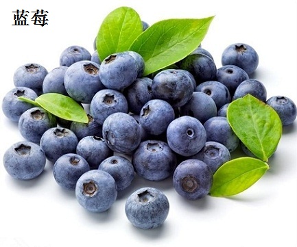 原花青素常见来源植物蓝莓