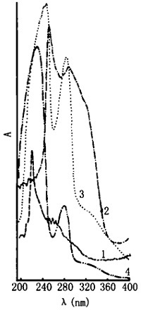 山楂的紫外光谱图
