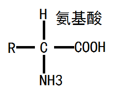 天然氨基酸及其衍生物