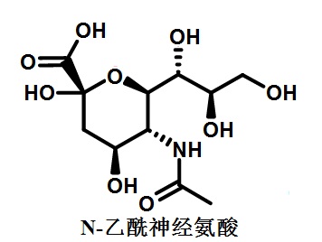 N-乙酰神经氨酸的结构式