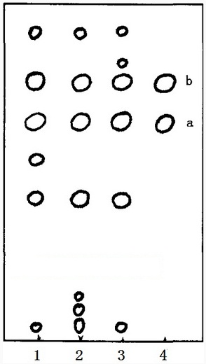 The TLC diagram of bear bile using TLCS method