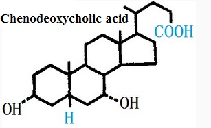The chemical structure of Chenodeoxycholic acid