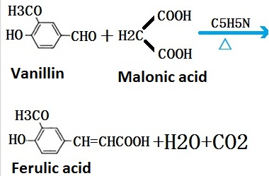  laboratory synthesis roadmap of ferulic acid 