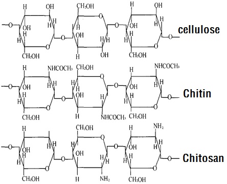 read basics of functional analysis with