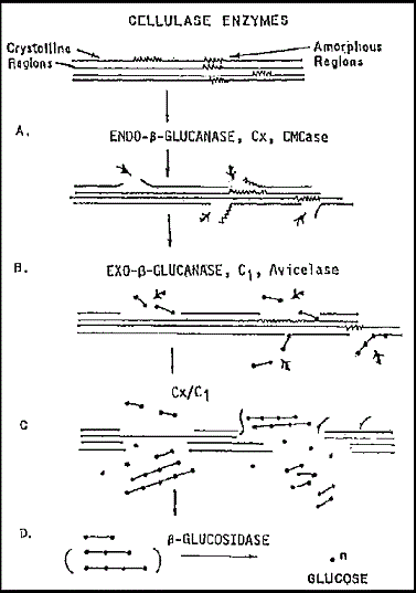 Synthesis method