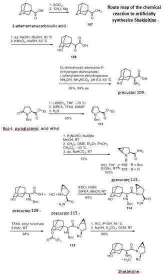 reaction of synthesizing Shakleitine
