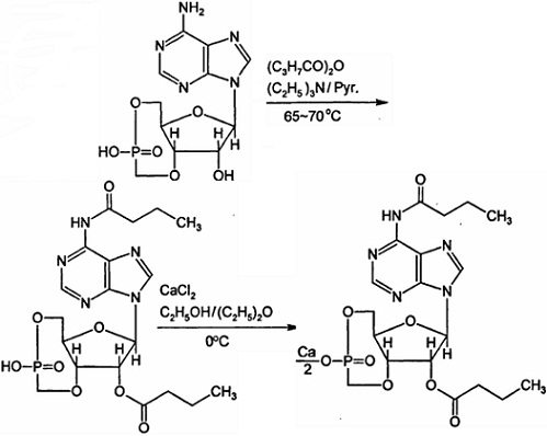 二丁酰环磷腺苷钙图片