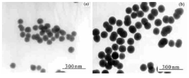 TEOS、氨水、水及醇制备出粒径约为 120 nm 的氧化硅球体 TEM 图