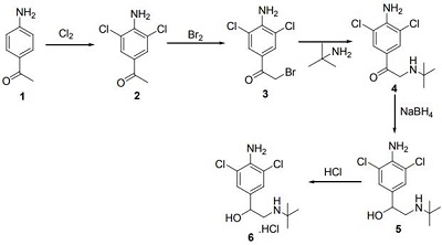 Clenbuterol hydrochloride synthesis