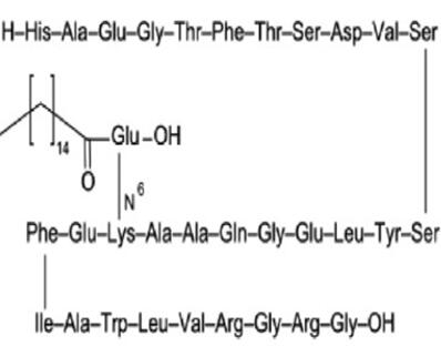 Figure 1 the chemical structure of Liraglutide